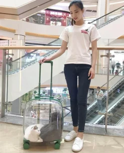 Furendo Haustierzubehör|Reinigungswerkzeuge Für Haustiere-Transparenter Haustiertransportwagen - Tragbare Reisekapsel für Haustiere