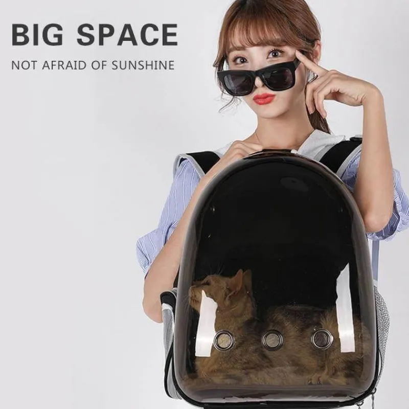 Decor Haustierzubehör|Taschen & Geldbörsen-Transparenter Haustier-Tragerucksack – Atmungsaktive Reisetasche für Katzen und Hunde