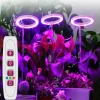 Comfort u0026 Style Beleuchtung-5V LED Plant Light - Indoor Grow Lamp for Gardening