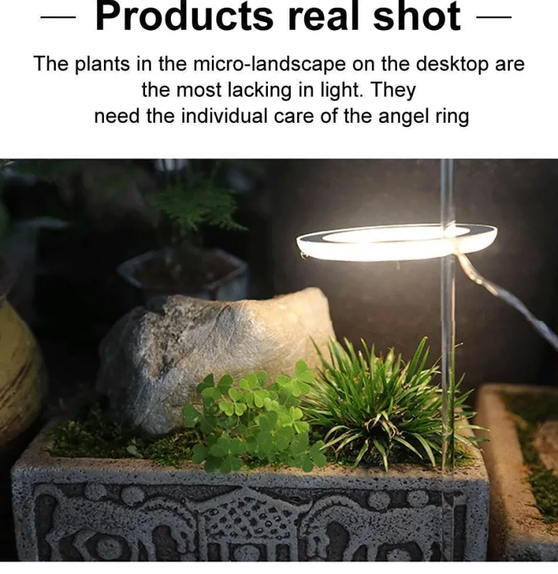 Comfort u0026 Style Beleuchtung-5V LED Plant Light - Indoor Grow Lamp for Gardening