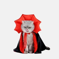 Decor Haustierzubehör-Vampir-Katzenkostüm – Gruseliges Halloween-Haustier-Outfit