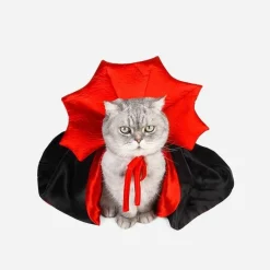 Decor Haustierzubehör-Vampir-Katzenkostüm – Gruseliges Halloween-Haustier-Outfit