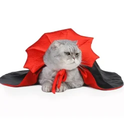 Decor Haustierzubehör-Vampir-Katzenkostüm – Gruseliges Halloween-Haustier-Outfit