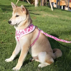 Decor Haustierzubehör-Verstellbares Hundehalsband – bequemes Haustier-Accessoire für Hunde