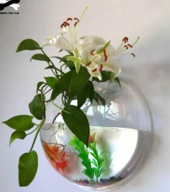 Comfort u0026 Style Wohndeko-Wandmontierte Blumenvase für Aquarien – transparentes Aquarium-Dekor
