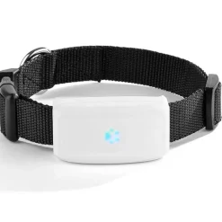 Decor Haustierzubehör-Wasserdichtes GPS-Tracker-Halsband für Haustiere – Standort-Tracker für Hunde und Katzen