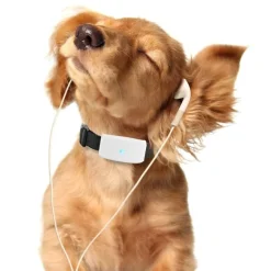 Decor Haustierzubehör-Wasserdichtes GPS-Tracker-Halsband für Haustiere – Standort-Tracker für Hunde und Katzen