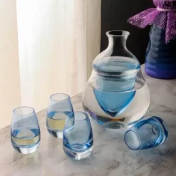 Plates u0026 More Küche & Esszimmer-Weinkaraffe aus Glas – Vielseitiger Whisky- und Sake-Spender