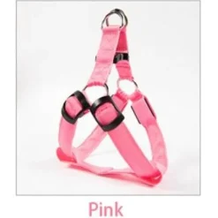 Decor Haustierzubehör-Wiederaufladbare LED-Hundeleine – Leuchtende Sicherheitsleine für Haustiere