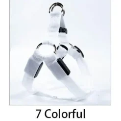 Decor Haustierzubehör-Wiederaufladbare LED-Hundeleine – Leuchtende Sicherheitsleine für Haustiere