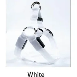 Decor Haustierzubehör-Wiederaufladbare LED-Hundeleine – Leuchtende Sicherheitsleine für Haustiere