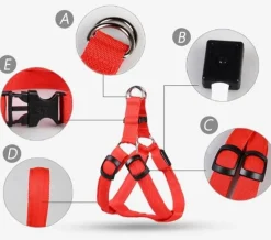 Decor Haustierzubehör-Wiederaufladbare LED-Hundeleine – Leuchtende Sicherheitsleine für Haustiere