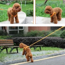 Decor Haustierzubehör-Wiederaufladbare LED-Hundeleine – Leuchtende Sicherheitsleine für Haustiere