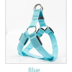 Decor Haustierzubehör-Wiederaufladbare LED-Hundeleine – Leuchtende Sicherheitsleine für Haustiere