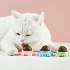 TailTrend Haustierspielzeug-Zahnpflege-Kauball mit Katzenminze – 360° drehbares Katzenspielzeug für gesunde Zähne