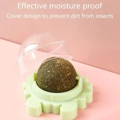 TailTrend Haustierspielzeug-Zahnpflege-Kauball mit Katzenminze – 360° drehbares Katzenspielzeug für gesunde Zähne