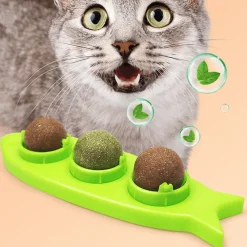 TailTrend Haustierspielzeug-Zahnpflege-Kauspielzeug für Katzen, 3-in-1-Backenzahn-Reinigungsstab für frischen Atem, gesunde Zähne